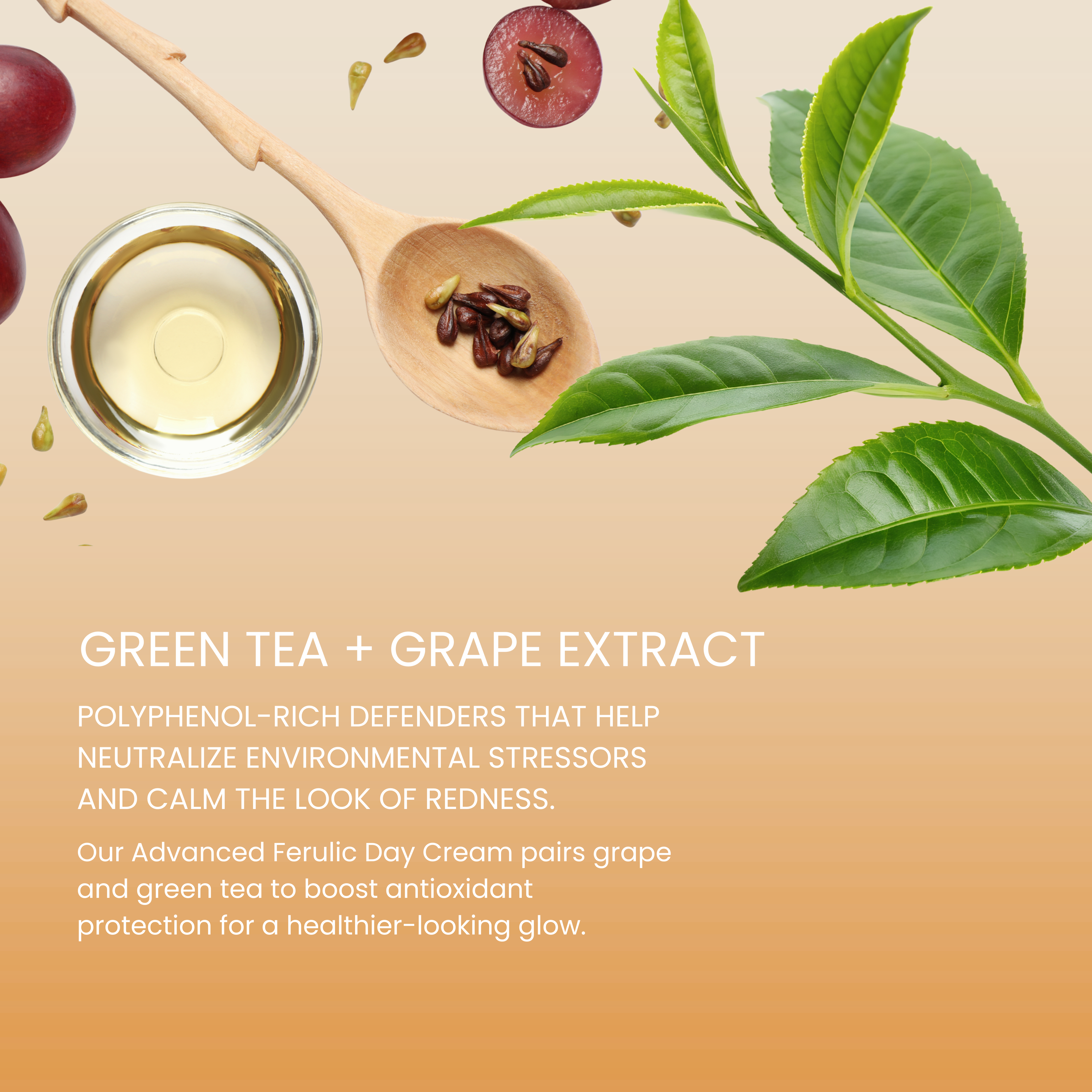 Advanced Ferulic Day Formula