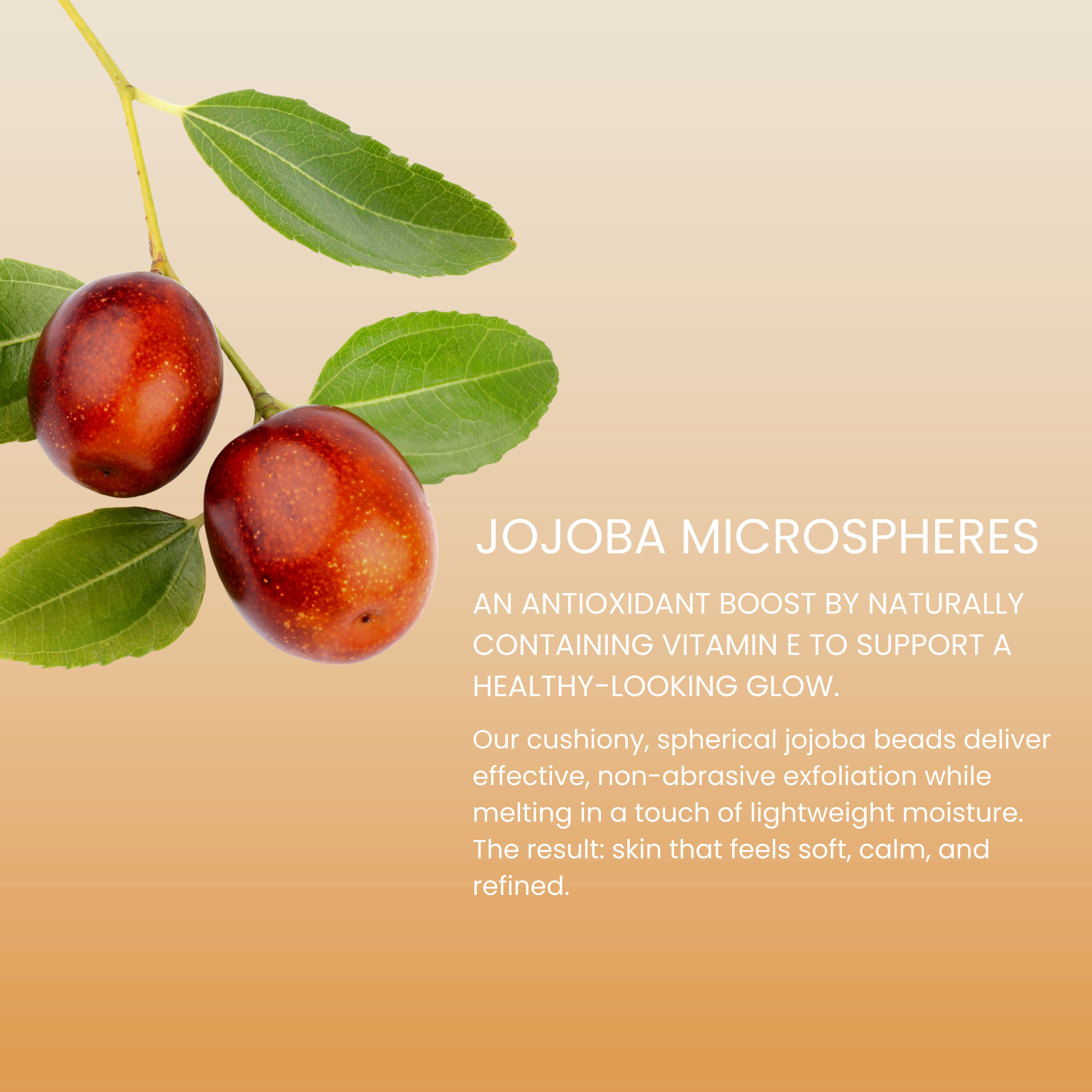 Microderm Lactic Exfoliant