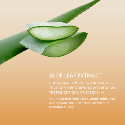 Advanced Ferulic Day Formula