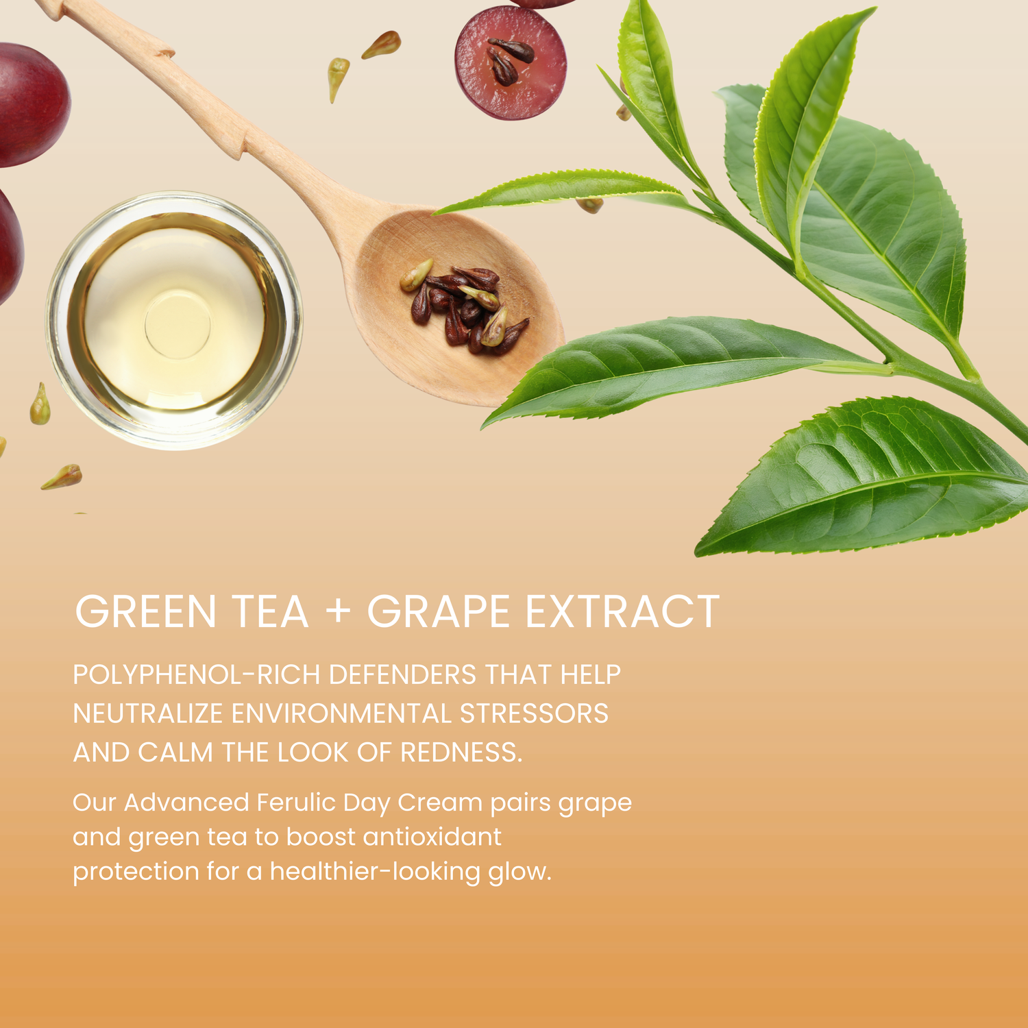 Advanced Ferulic Day Formula