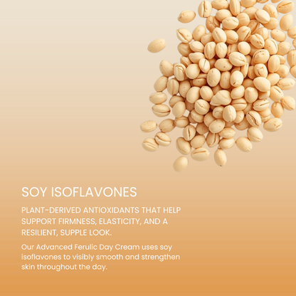 Advanced Ferulic Day Formula