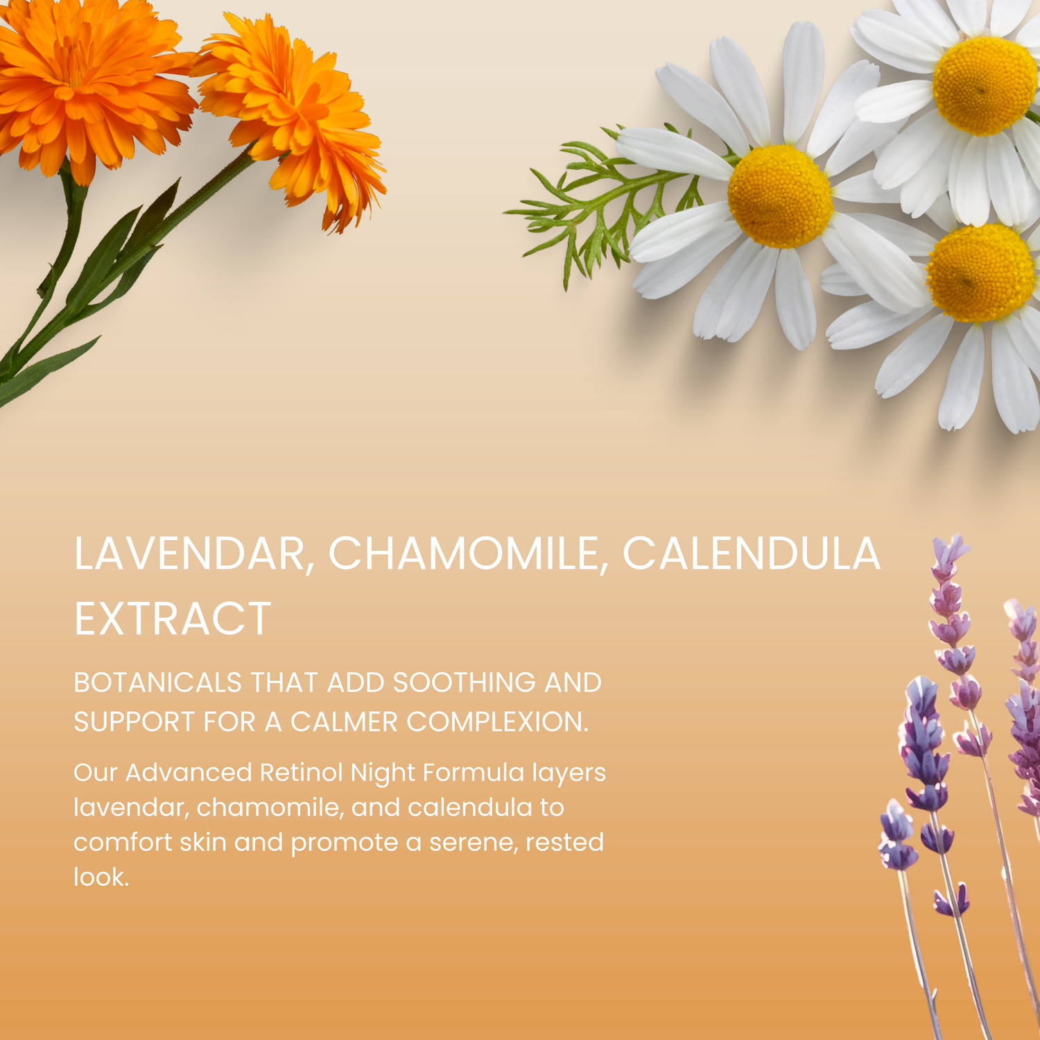 Advanced Retinol Night Formula