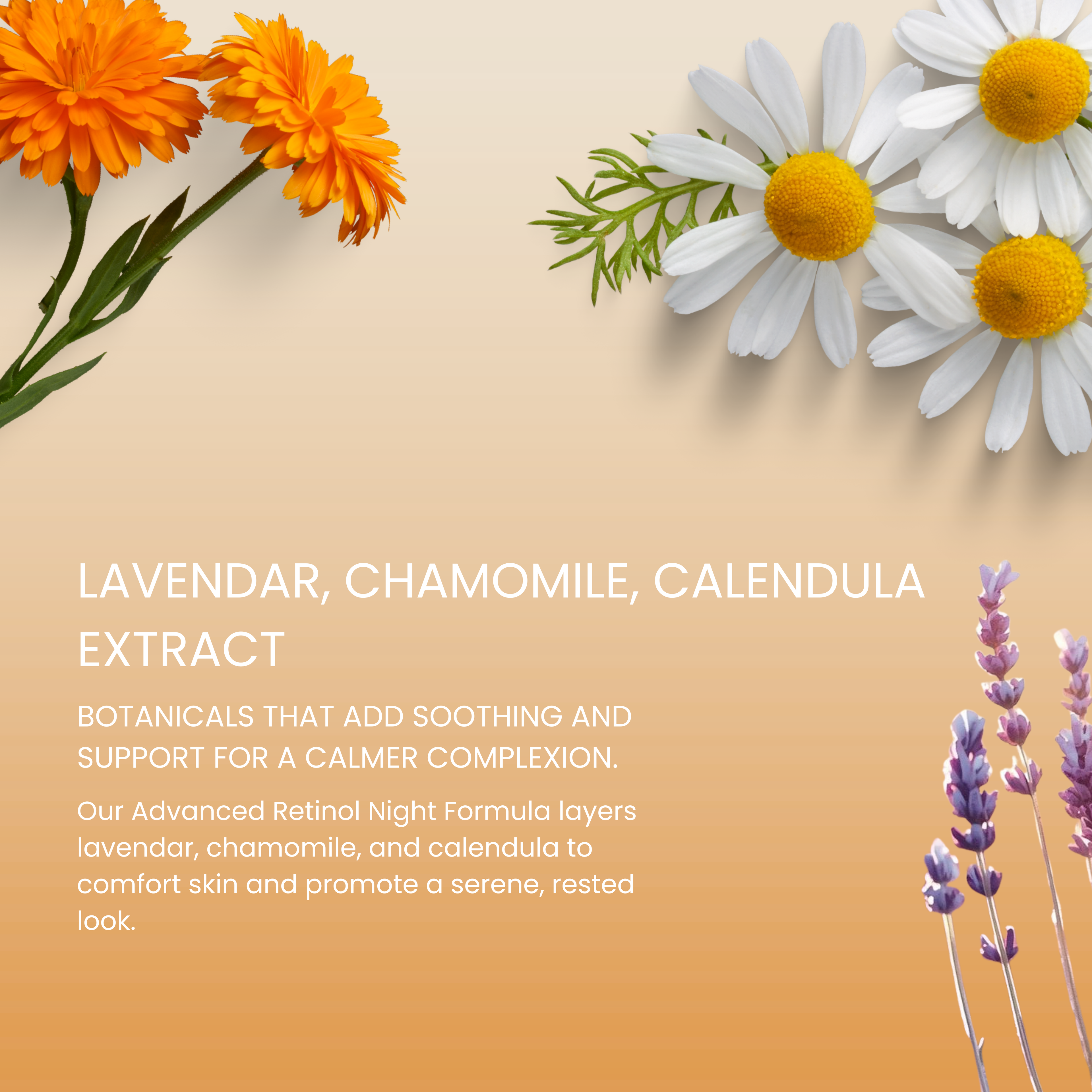 Advanced Retinol Night Formula