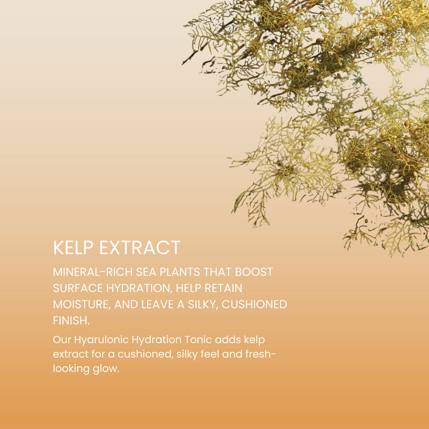 Hyaluronic Hydration Tonic